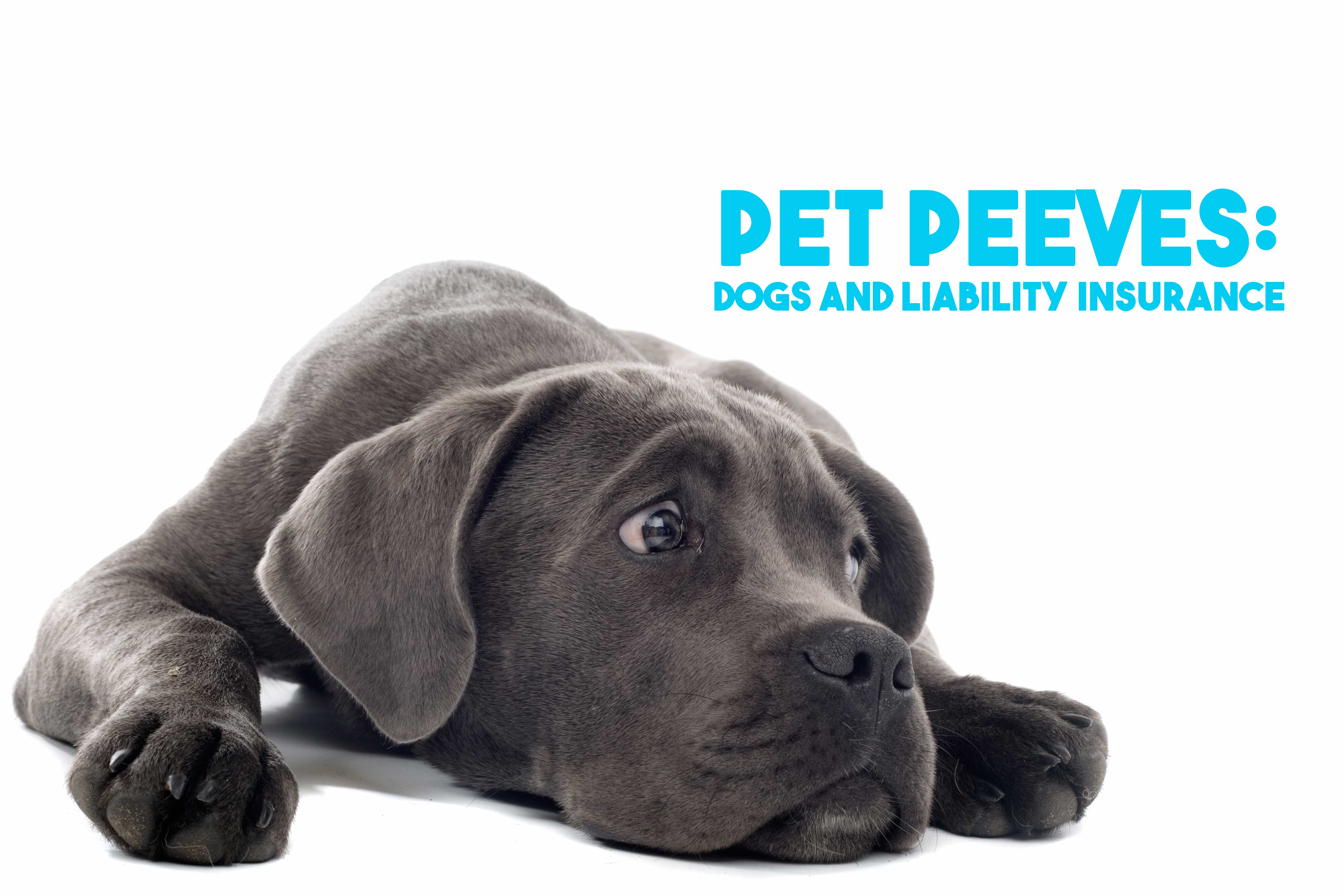 Pet Peeves: Dogs and Liability Insurance - COMPANY